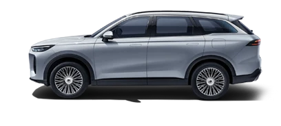 CHERY Fulwin T9